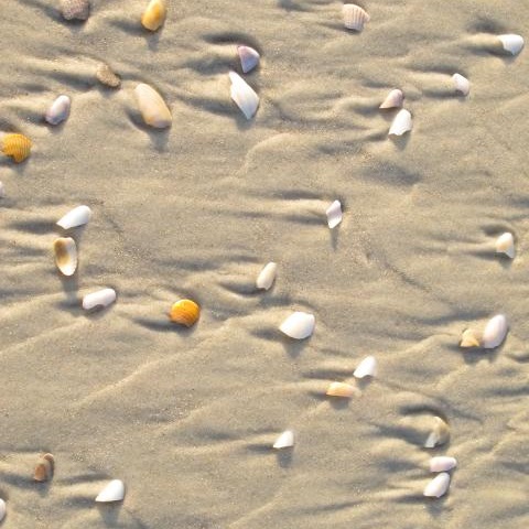Florida Strandwohnung - New Smyrna Beach